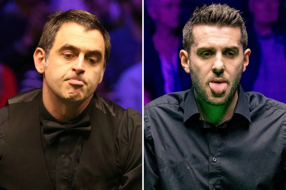 成长周期的 成长周期的