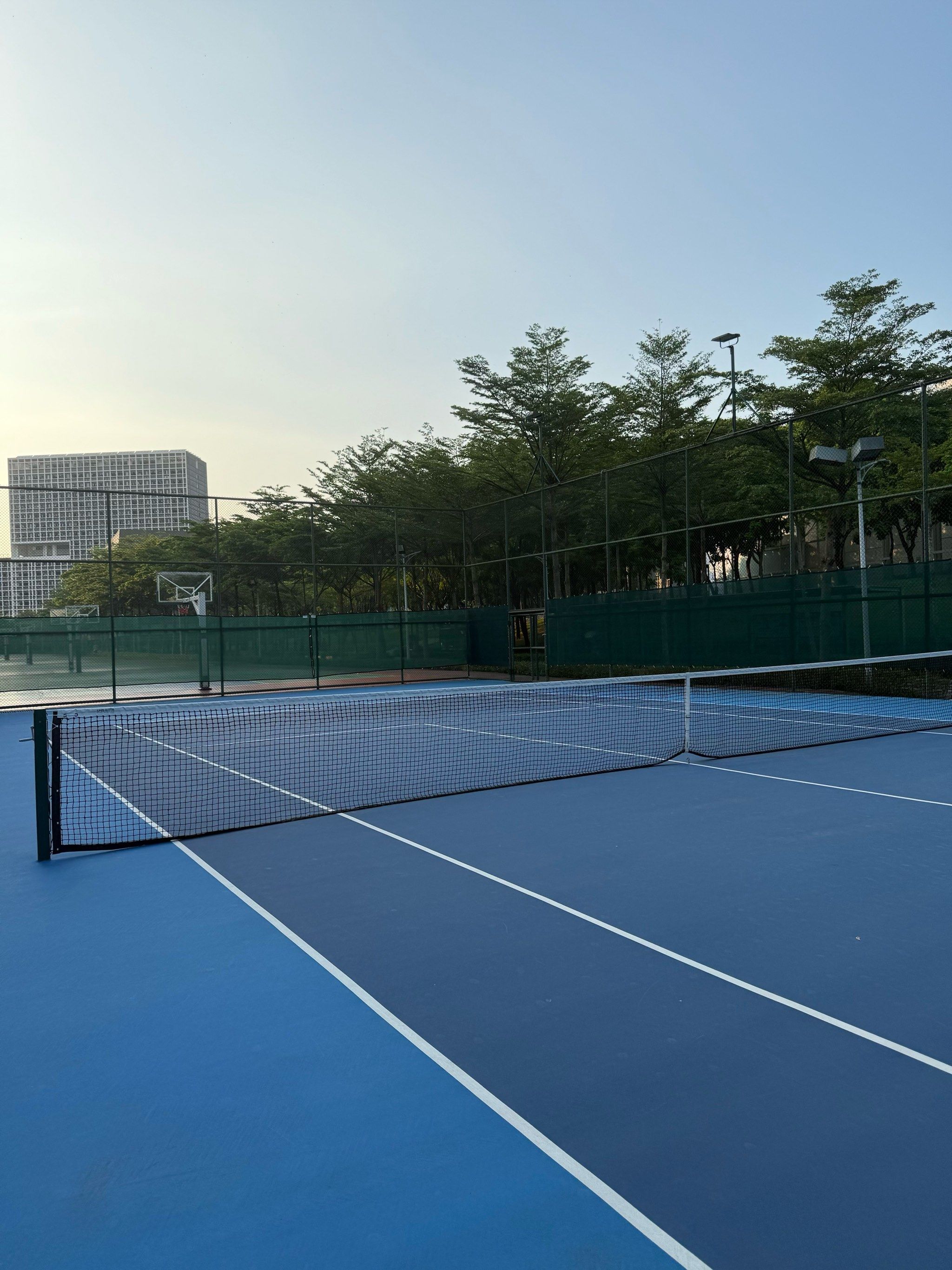 费城老鹰的 费城老鹰的